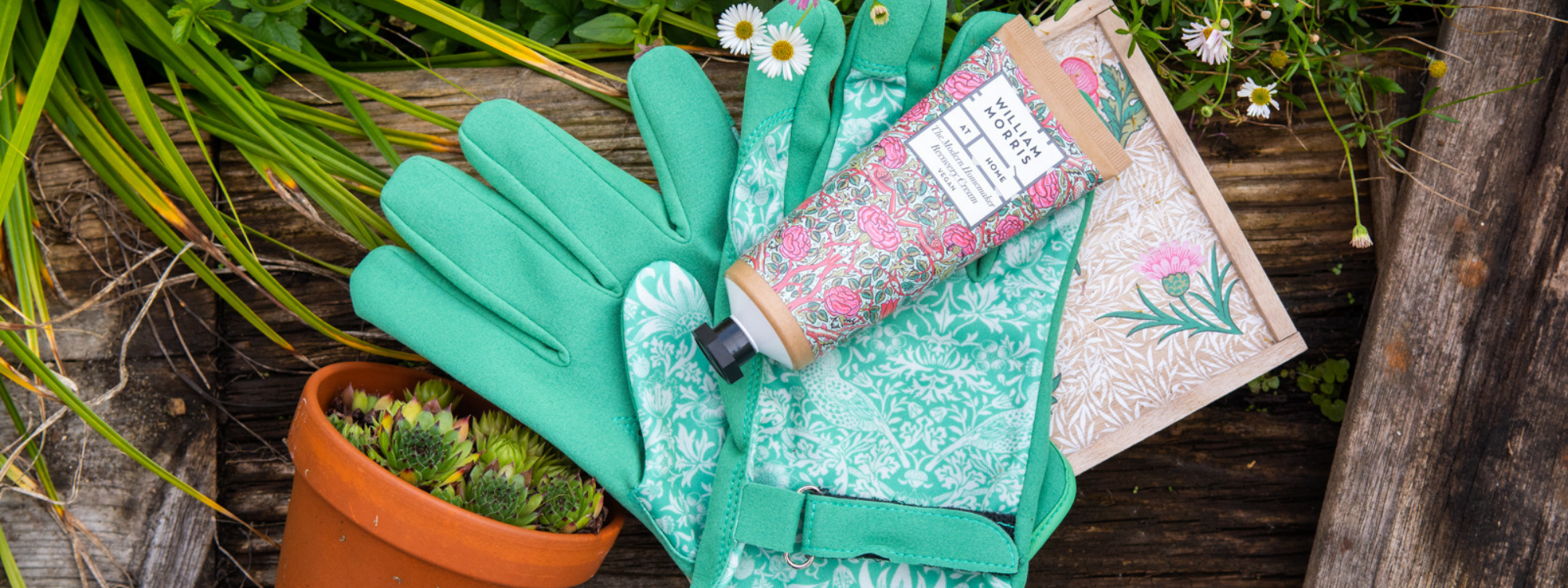 Summer Favourites