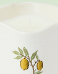 The Modern Homemaker Indoor & Outdoor Scented Candle, 280g