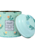 Flavoured Black Tea Peppermint, Tin of 40x Tea Bags