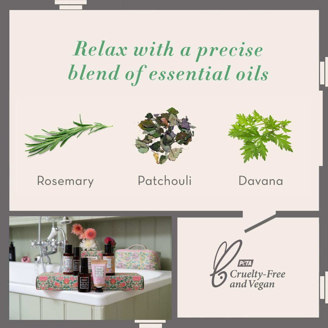 The Modern Homemaker Black Friday Bundle