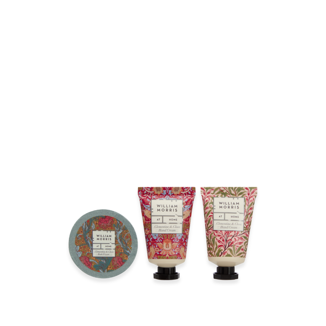 Oak &amp; Willow Festive Tree Gift