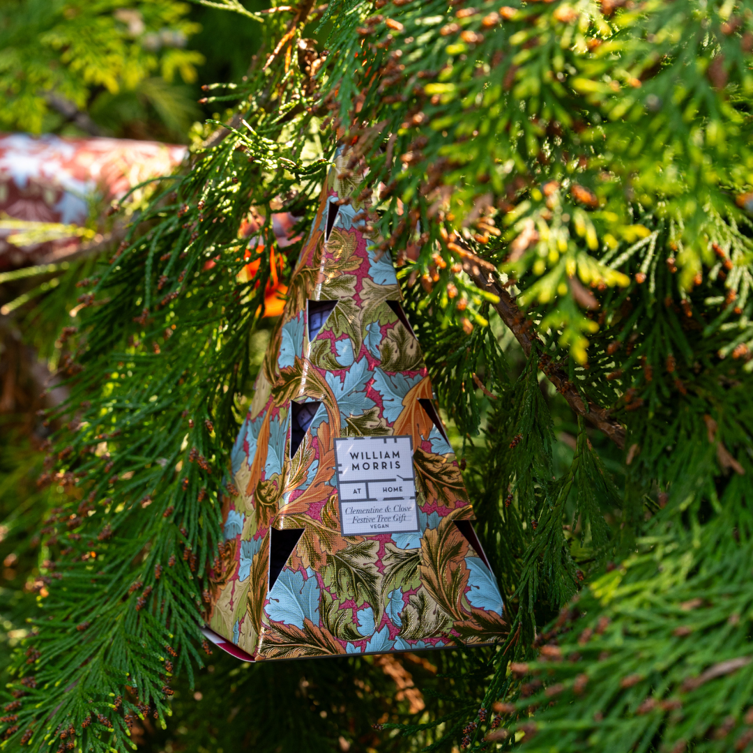 Oak &amp; Willow Festive Tree Gift
