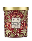 Oak & Willow Cedar Spice Scented Candle