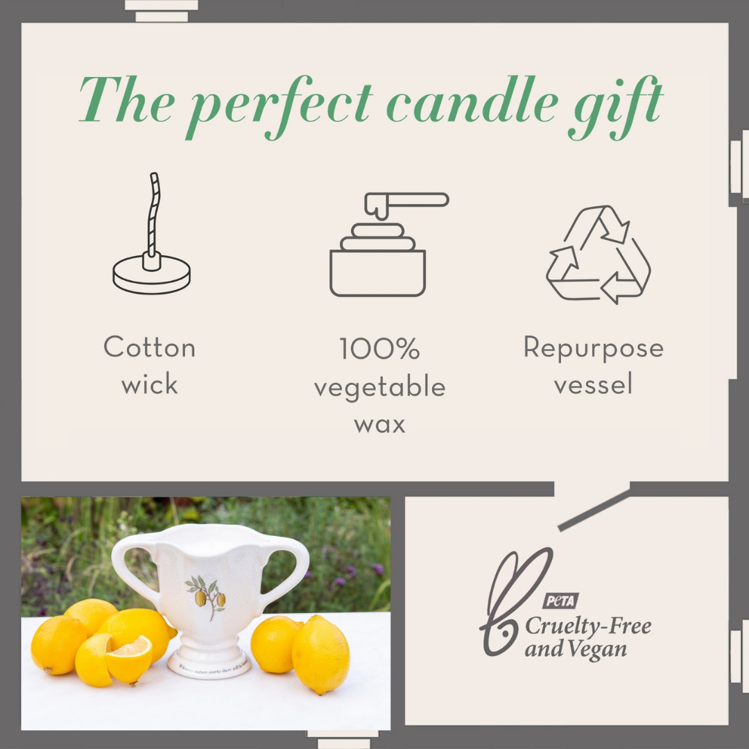 The Modern Homemaker Indoor &amp; Outdoor Scented Candle, 280g