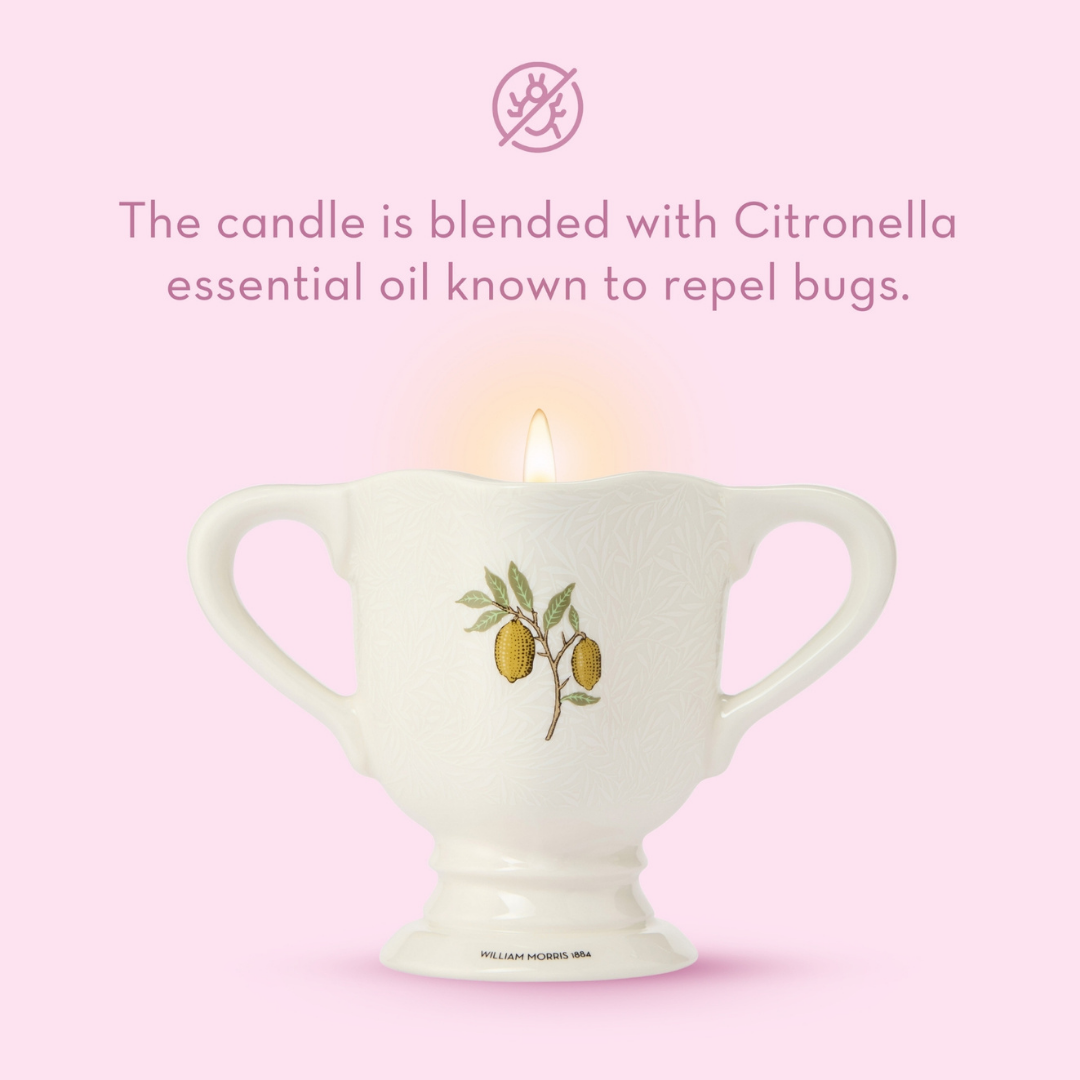 The Modern Homemaker Indoor &amp; Outdoor Scented Candle, 280g