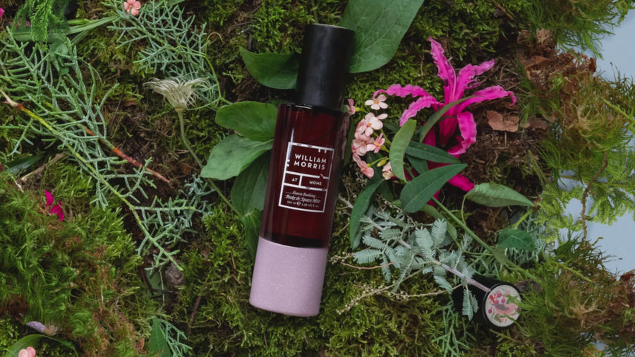 Forest Bathing Body & Space Mist