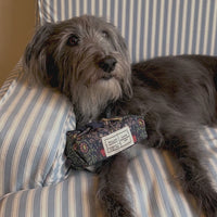 Canine Companion Dog Bandana and Hand Cream Gift