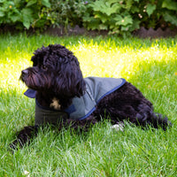 William Morris Canine Companion Small Dog Coat moodshot