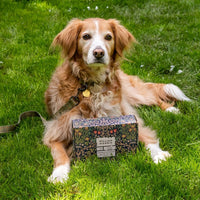 William Morris Canine Companion Dog Dog Walkers Kit moodshot 