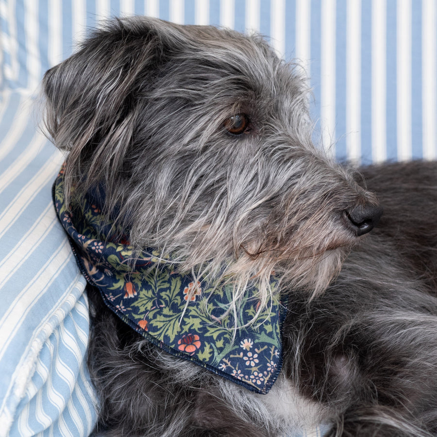 William Morris At Home Canine Companion Dog Bandana Hand Cream