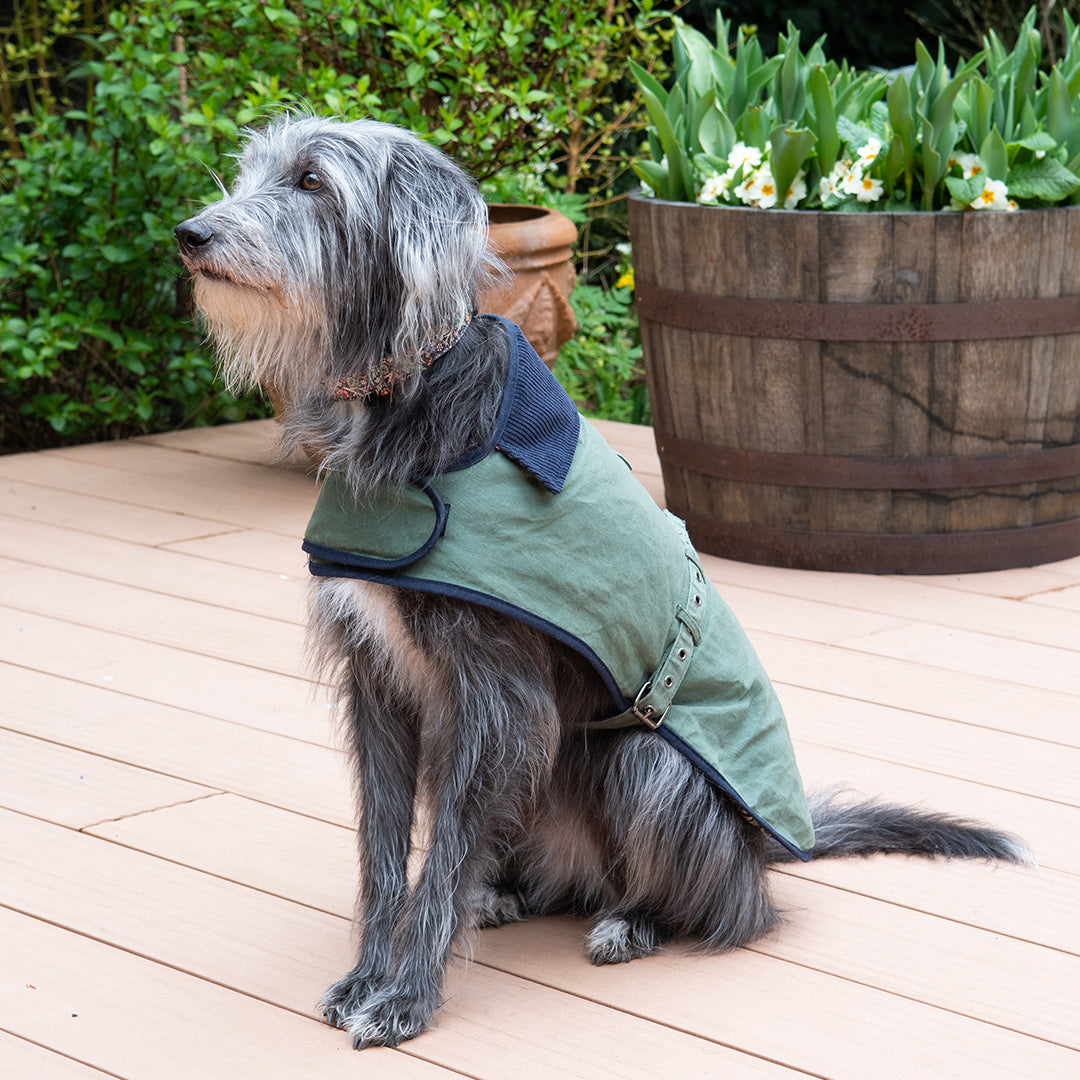 Waxed Cotton Dog Coat Medium Large